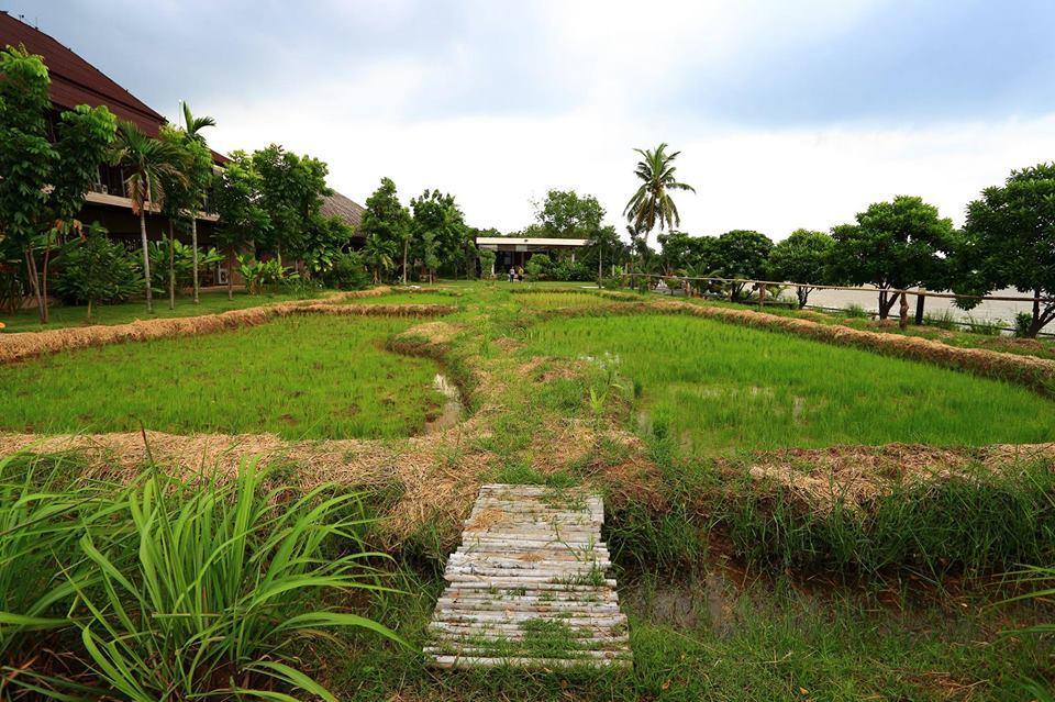 Resort Dheva