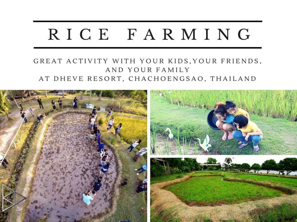 Dheva Chachoengsao